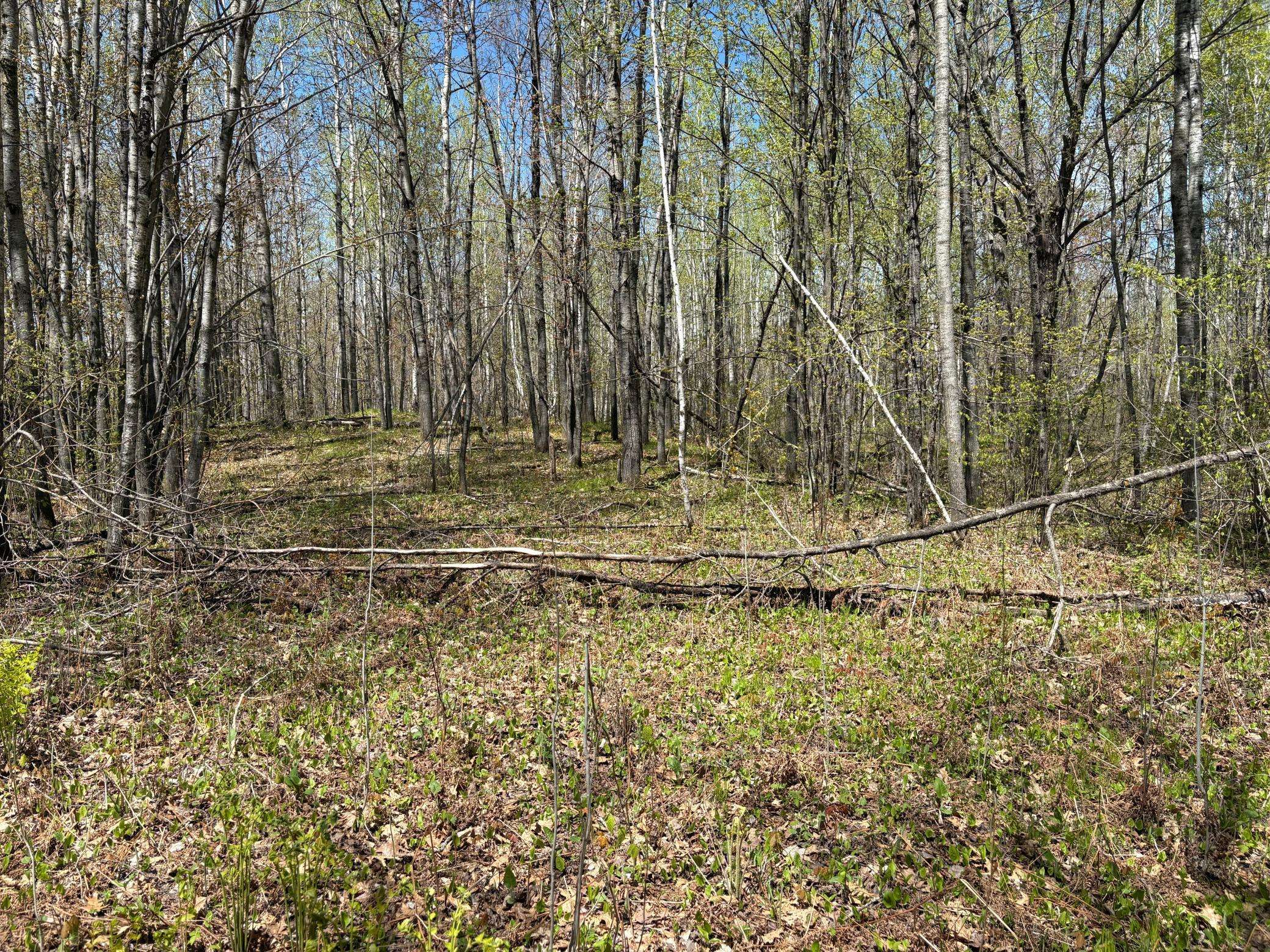 854x W Chub Lake Rd, Carlton, MN 55718
