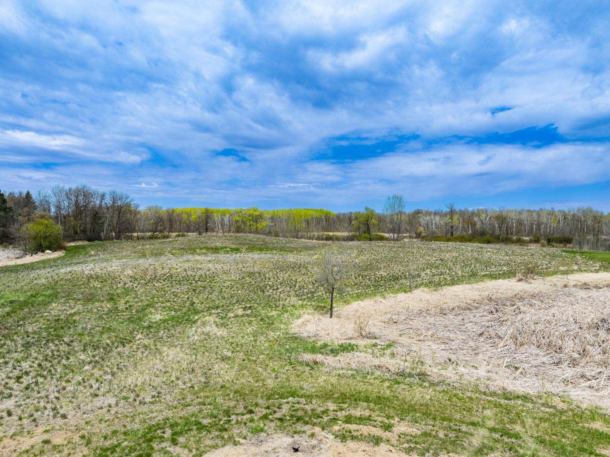 TBD Buckskin Park Court NE, Carlos, MN 56319