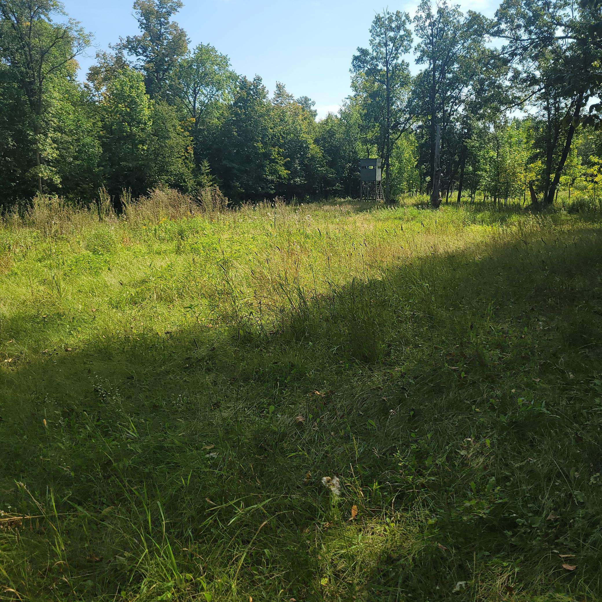 TBD Jeff Lake Road, Richville, MN 56576