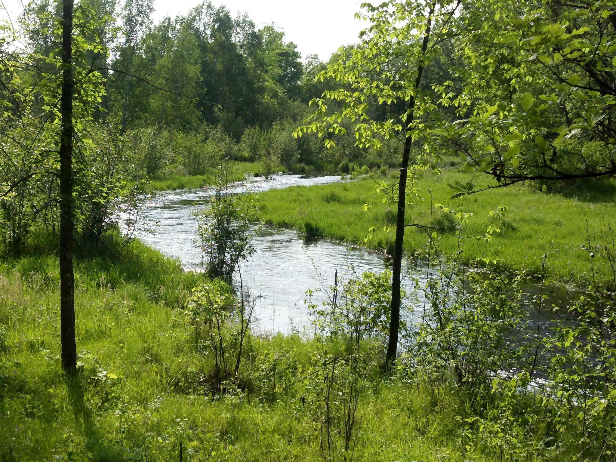 10005 Rice RD, Brook Park, MN 55007