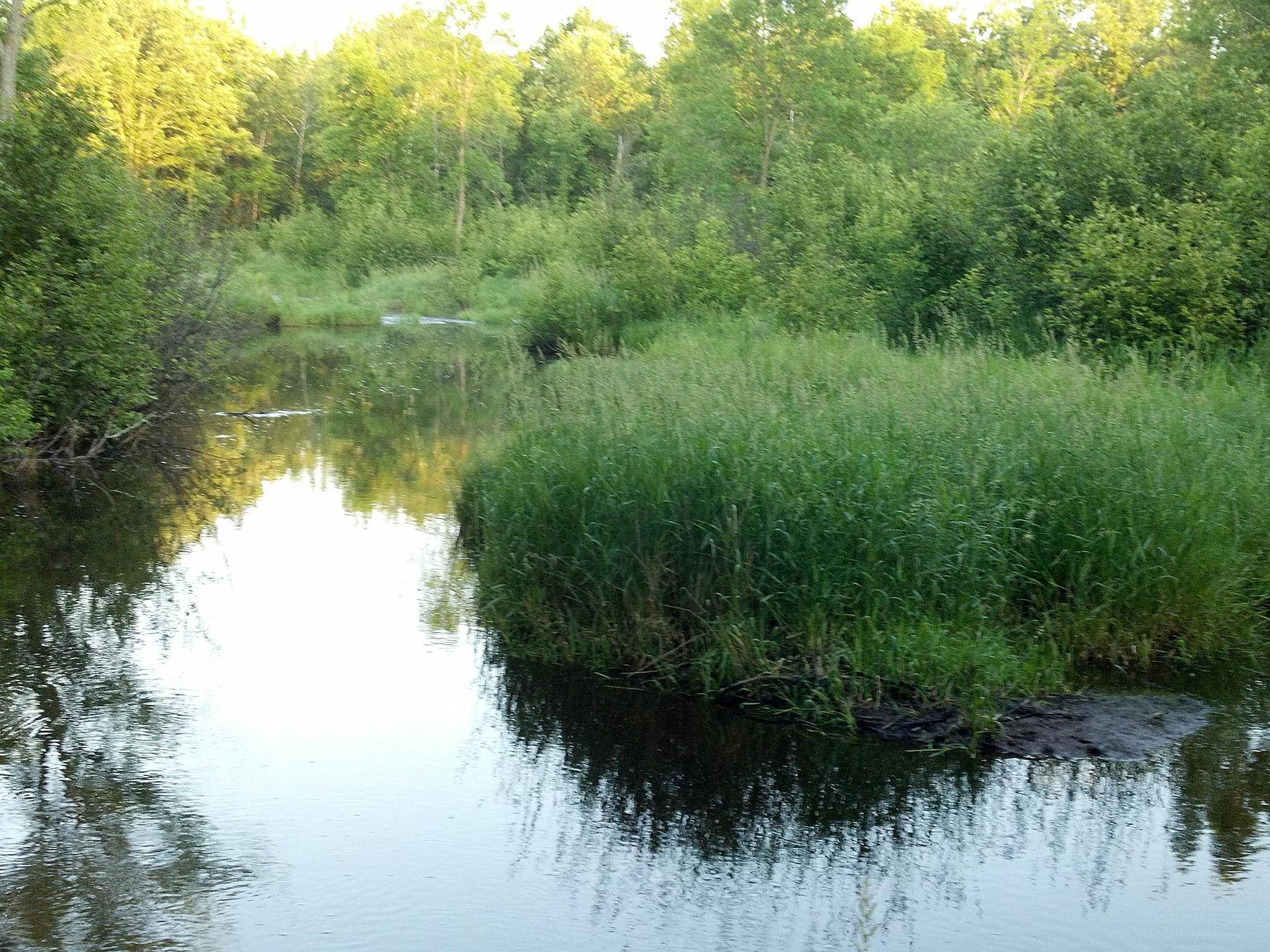 10005 Rice RD, Brook Park, MN 55007