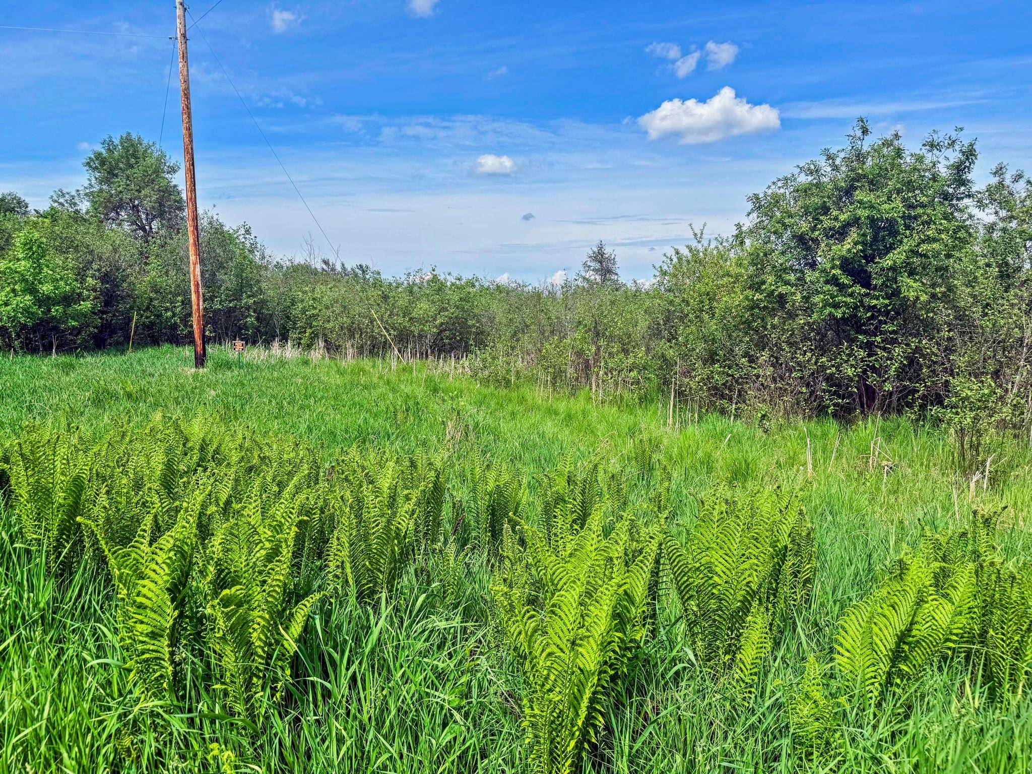 0000 Paradise TRL NW, Isanti, MN 55040