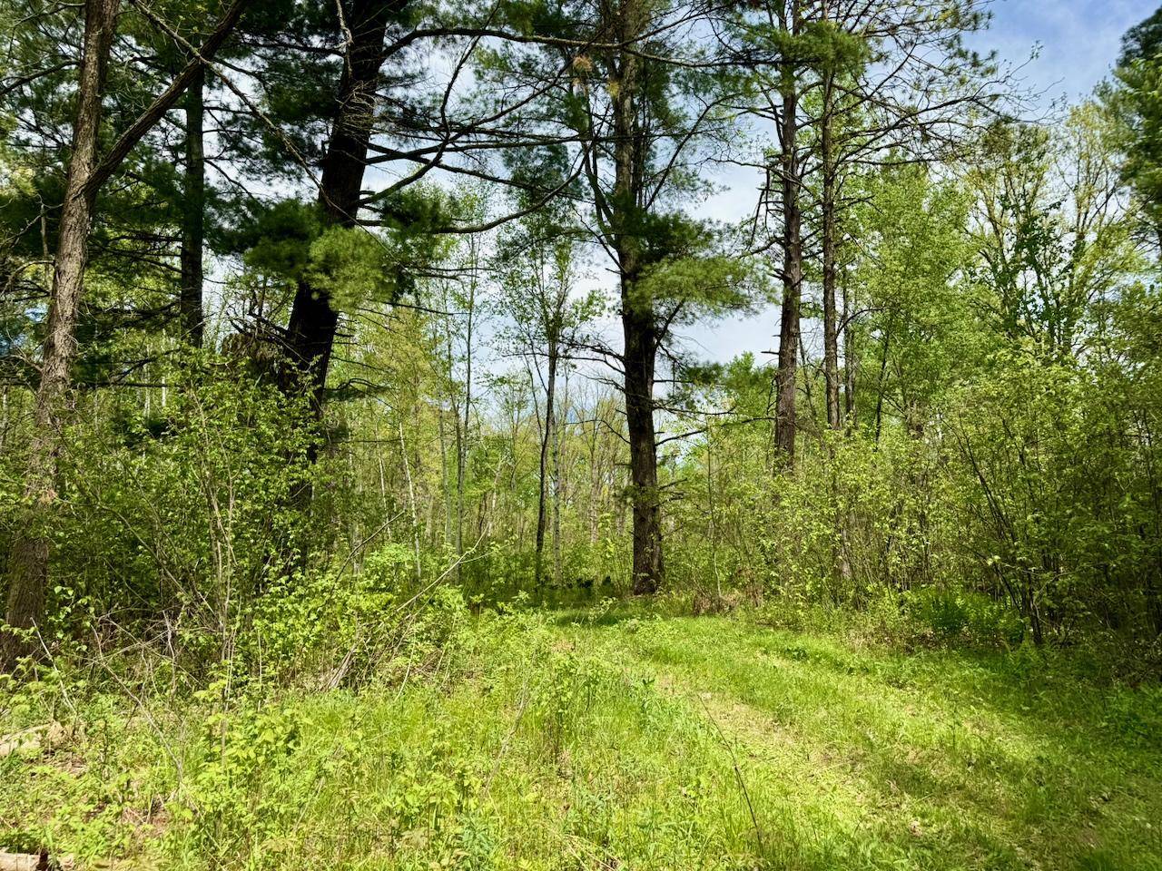 XYZ County Road 39, Willow River, MN 55795