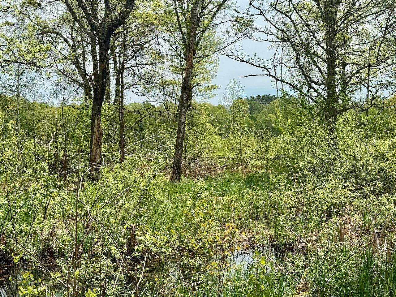 XYZ Dailey Lake Road, Willow River, MN 55795