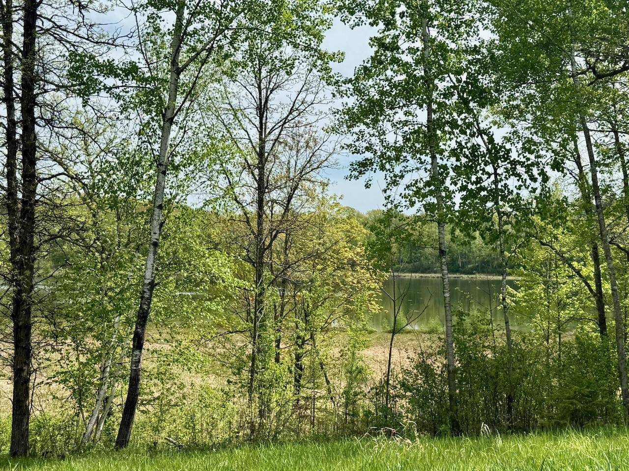 XYZ Dailey Lake Road, Willow River, MN 55795