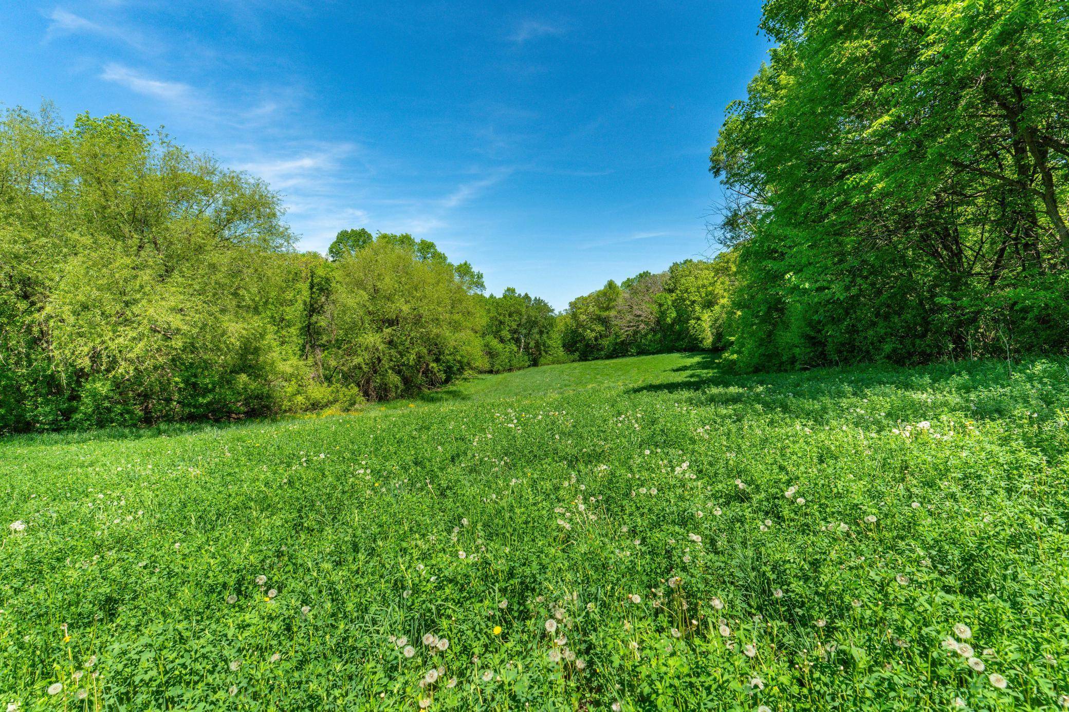 460th Ave, Brandon, MN 56315