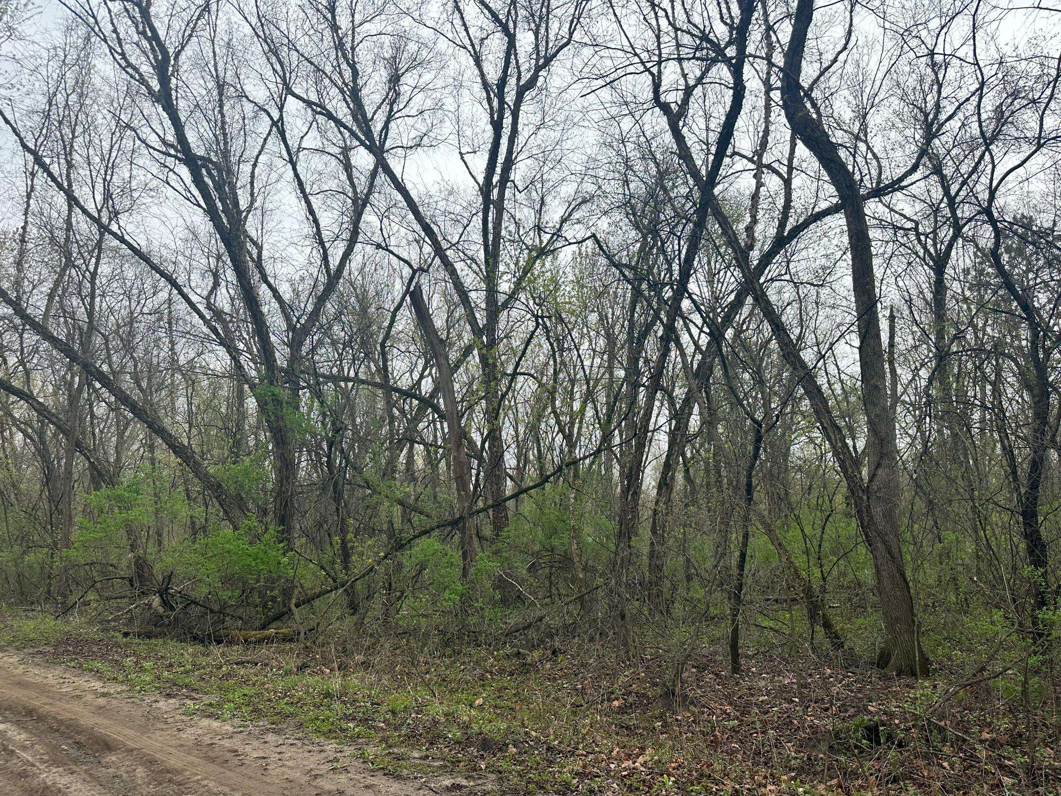 Lot 0 Catfish DR, Trempealeau, WI 54661