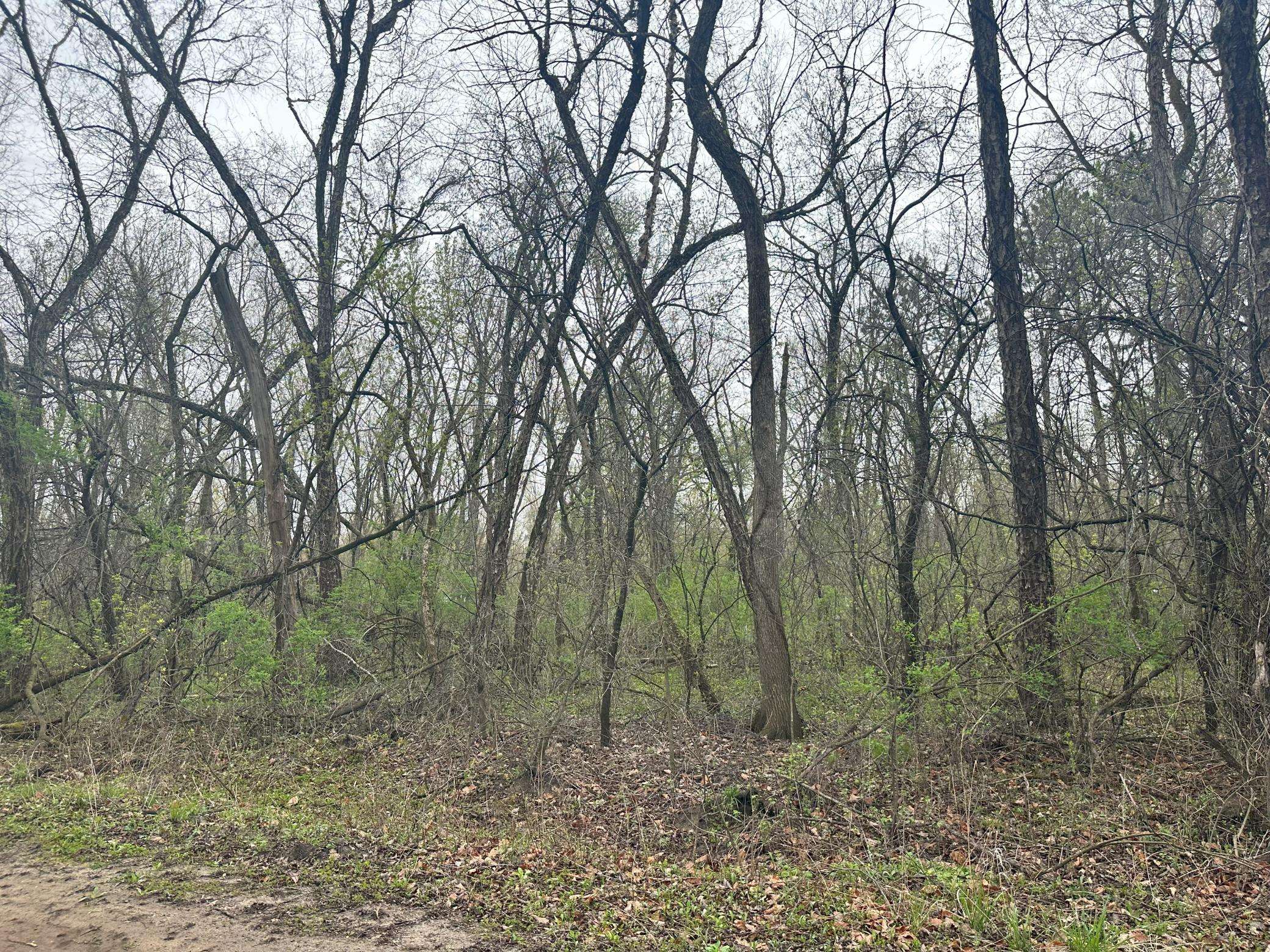 Lot 0 Catfish DR, Trempealeau, WI 54661