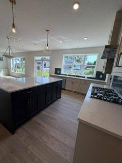 19212 Everfield AVE, Farmington, MN 55024