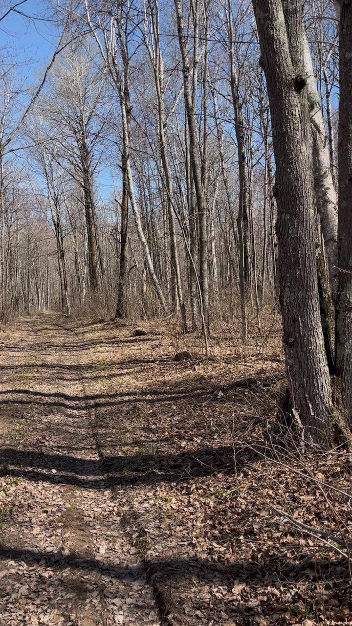 1 TBD, Hinckley Twp, MN 55037