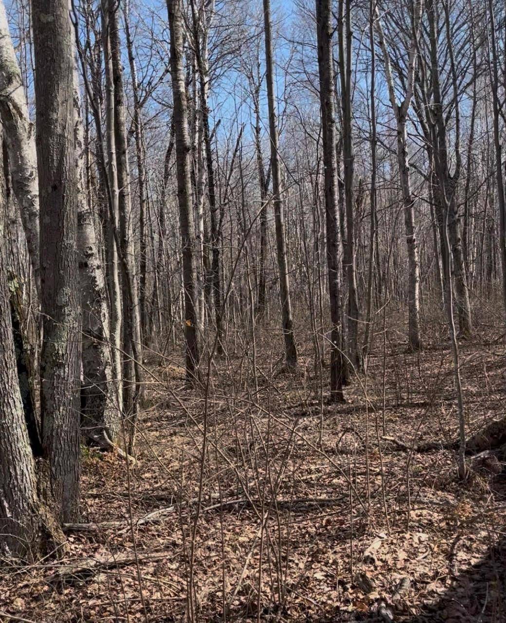 1 TBD, Hinckley Twp, MN 55037