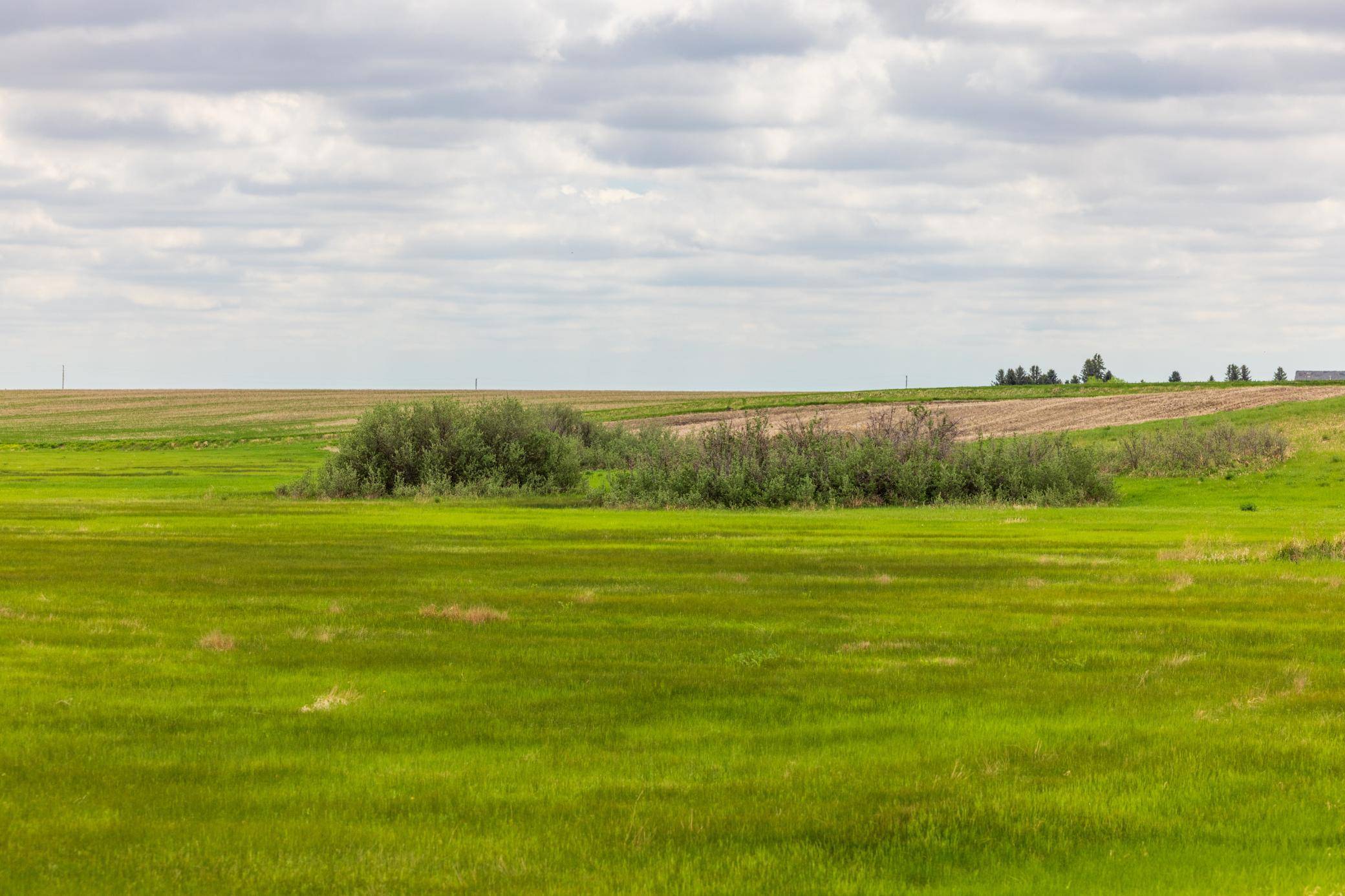 TBD 6 AVE NE, Souris, ND 58783