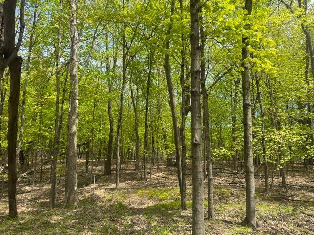 TBD Maple View CT, Excelsior, MN 55331