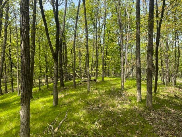 TBD Maple View CT, Excelsior, MN 55331