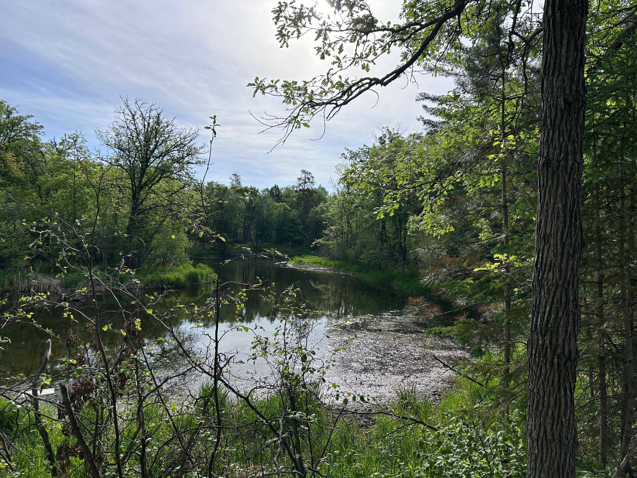 TBD Front Street, Pine River, MN 56474