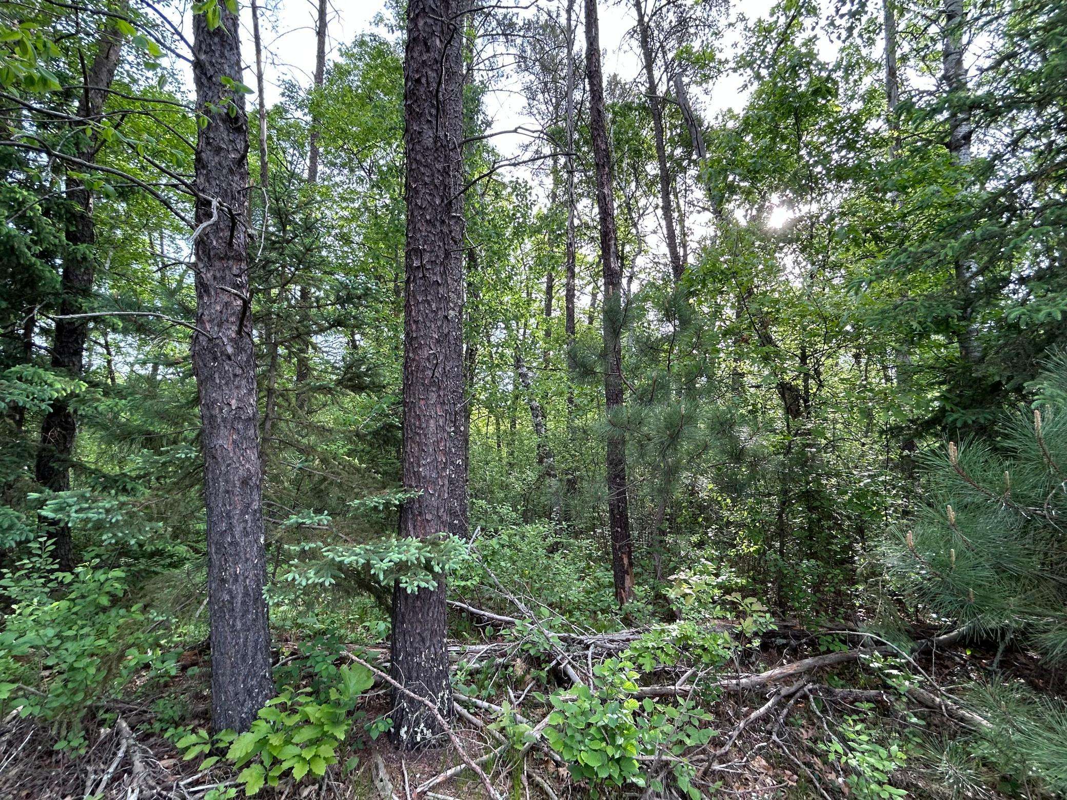 TBD Front Street, Pine River, MN 56474