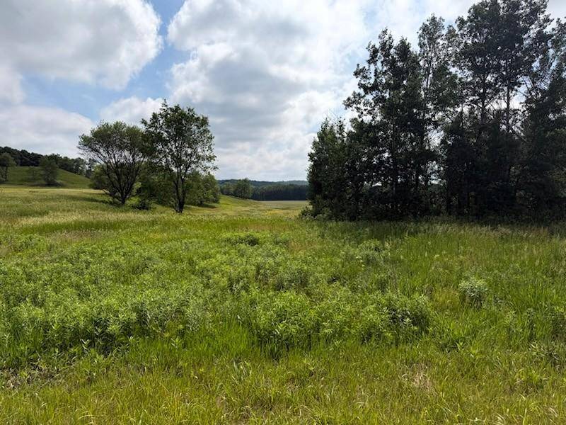 Lot 2 County Rd F, Boyceville, WI 54725