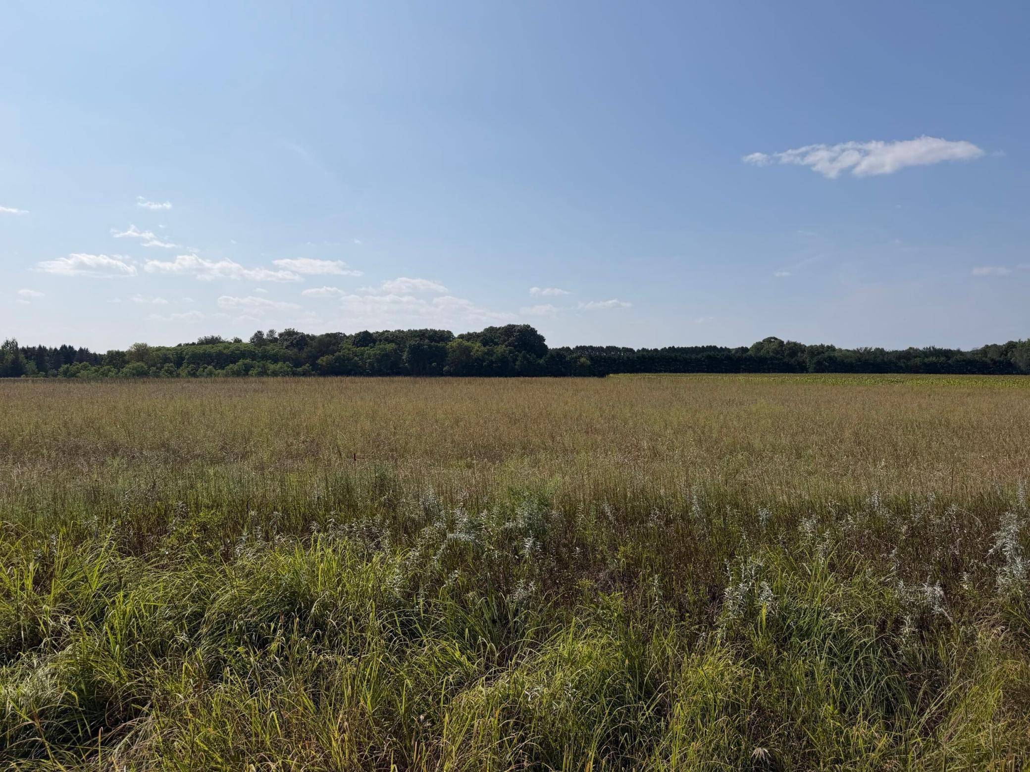 34660 Grand AVE, Stacy, MN 55079