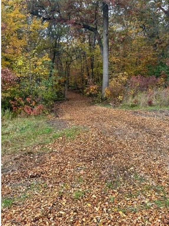 Lot 4 Tiger ST NW, Princeton, MN 55371