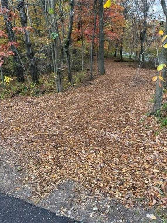 Lot 4 Tiger ST NW, Princeton, MN 55371