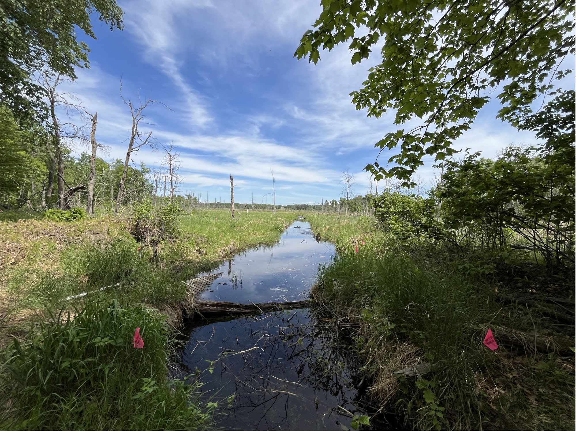 13384 Sorenson Lake RD, Merrifield, MN 56465
