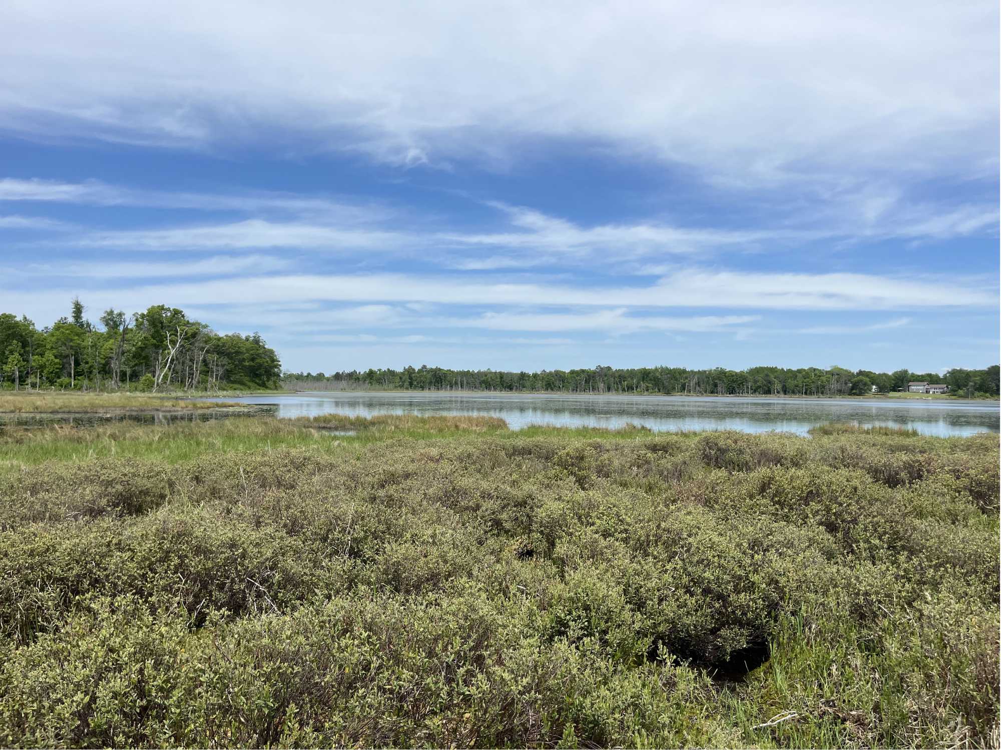 13384 Sorenson Lake RD, Merrifield, MN 56465