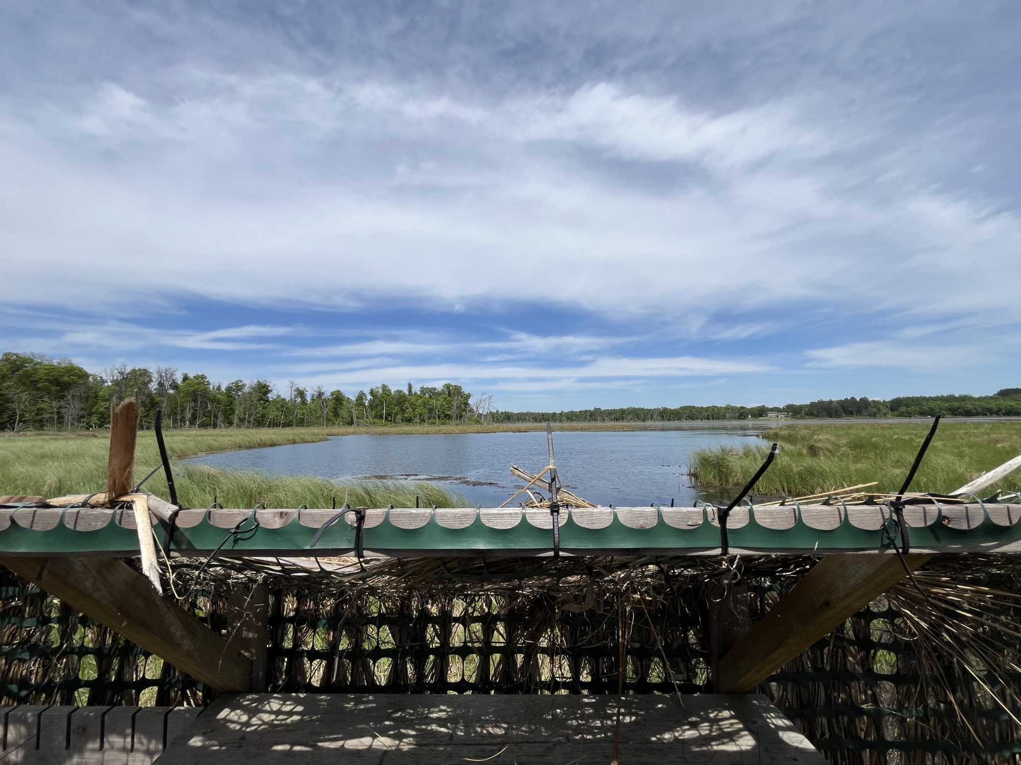 13384 Sorenson Lake RD, Merrifield, MN 56465