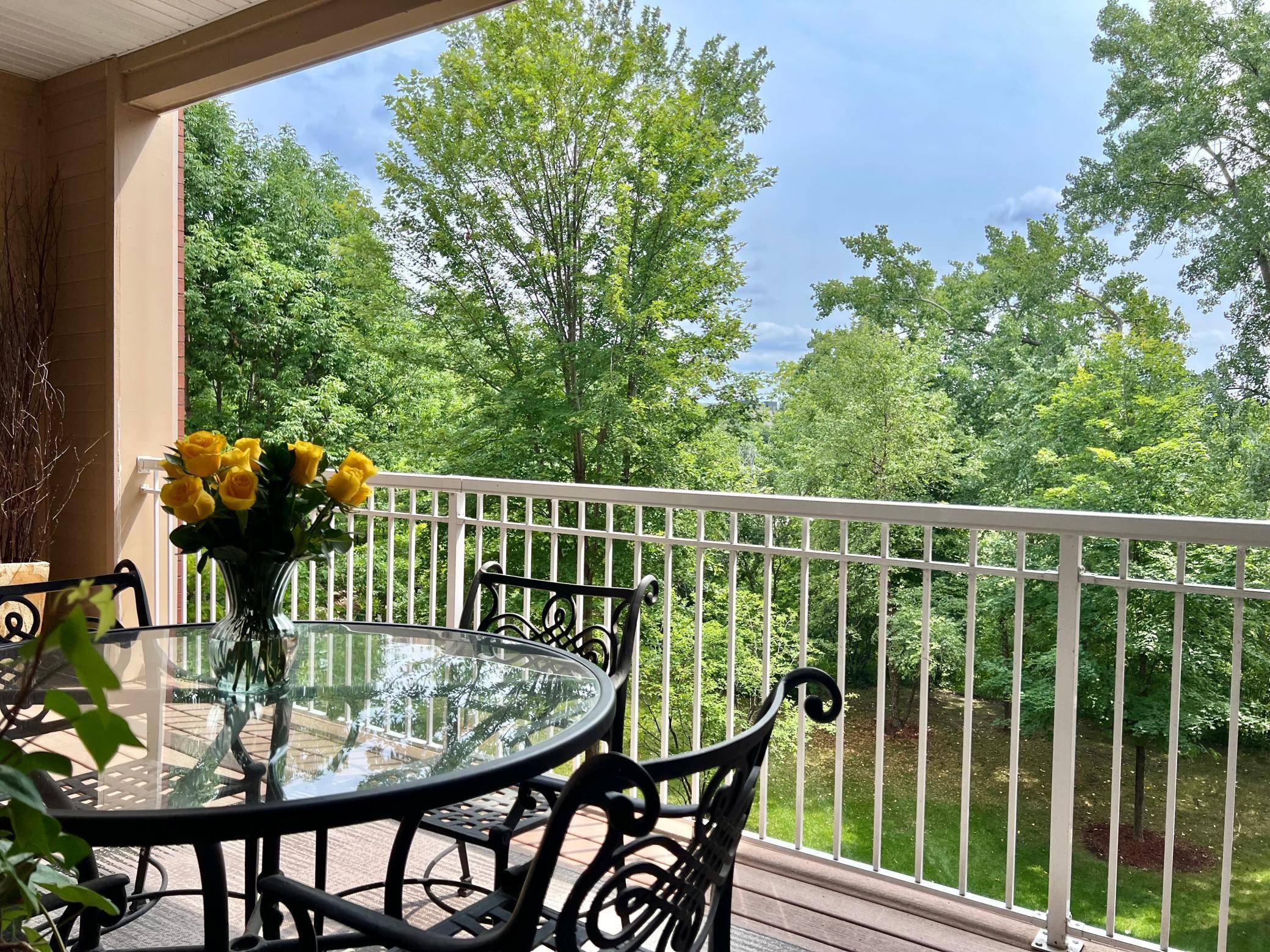 408 Parkers Lake RD #206, Wayzata, MN 55391