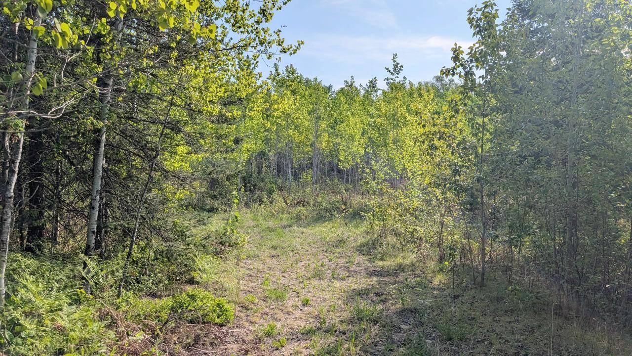 7573 Thumbnail DR, Embarrass, MN 55732