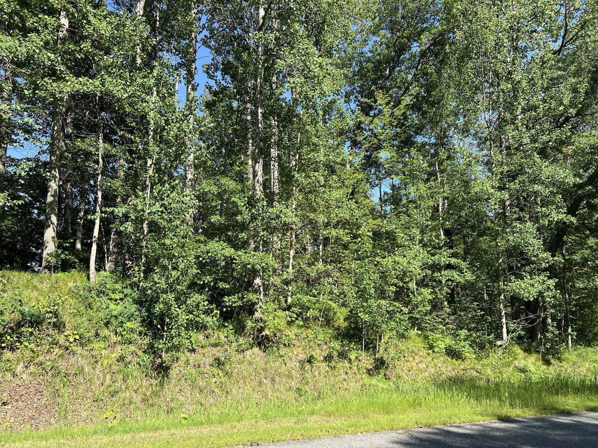 Lot 8 Terminal RD, Breezy Point, MN 56472