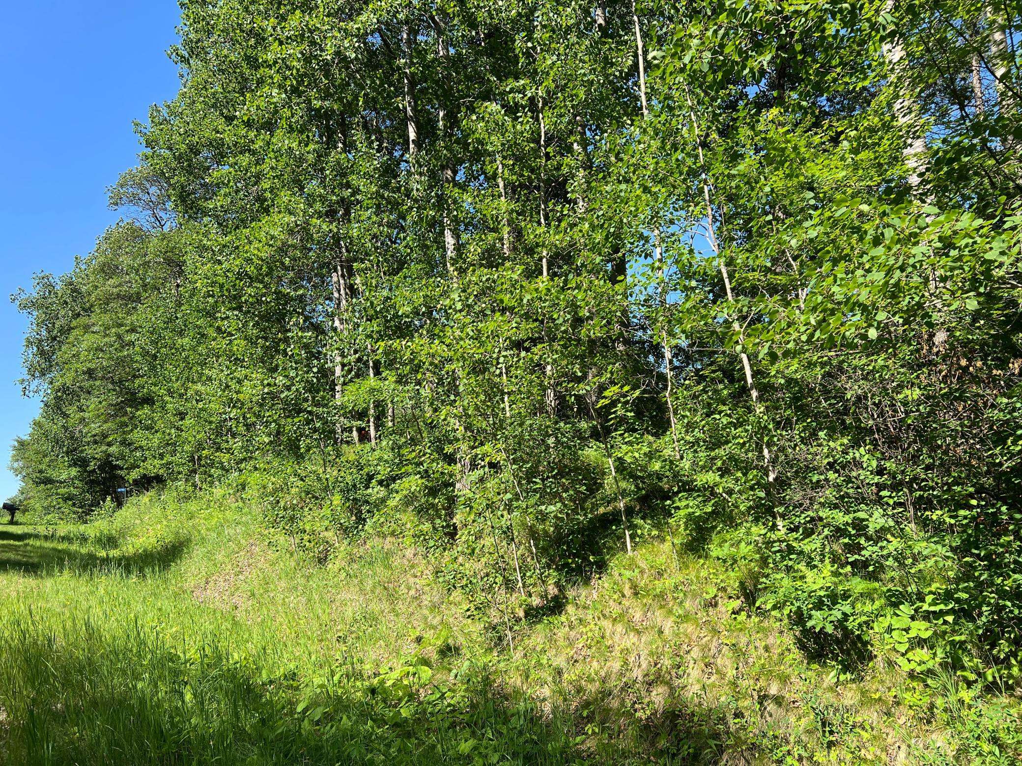Lot 8 Terminal RD, Breezy Point, MN 56472
