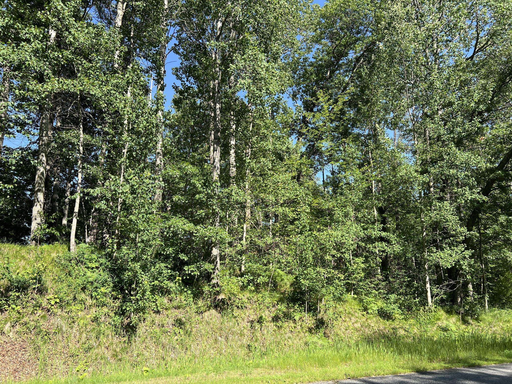 Lot 8 Terminal RD, Breezy Point, MN 56472