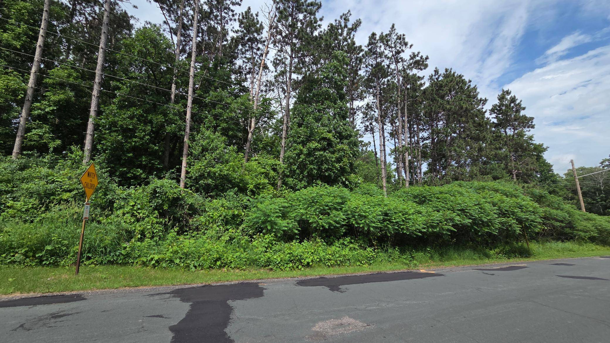 TBD Uplander ST NW, Andover, MN 55304