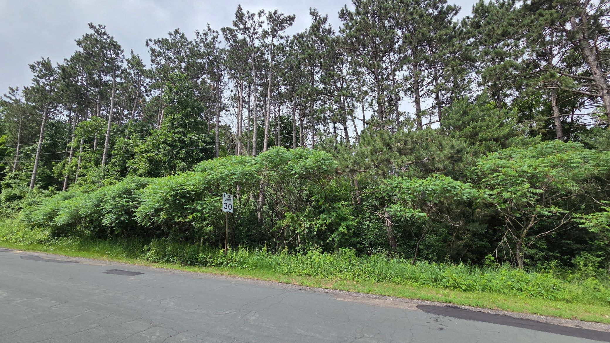TBD Uplander ST NW, Andover, MN 55304