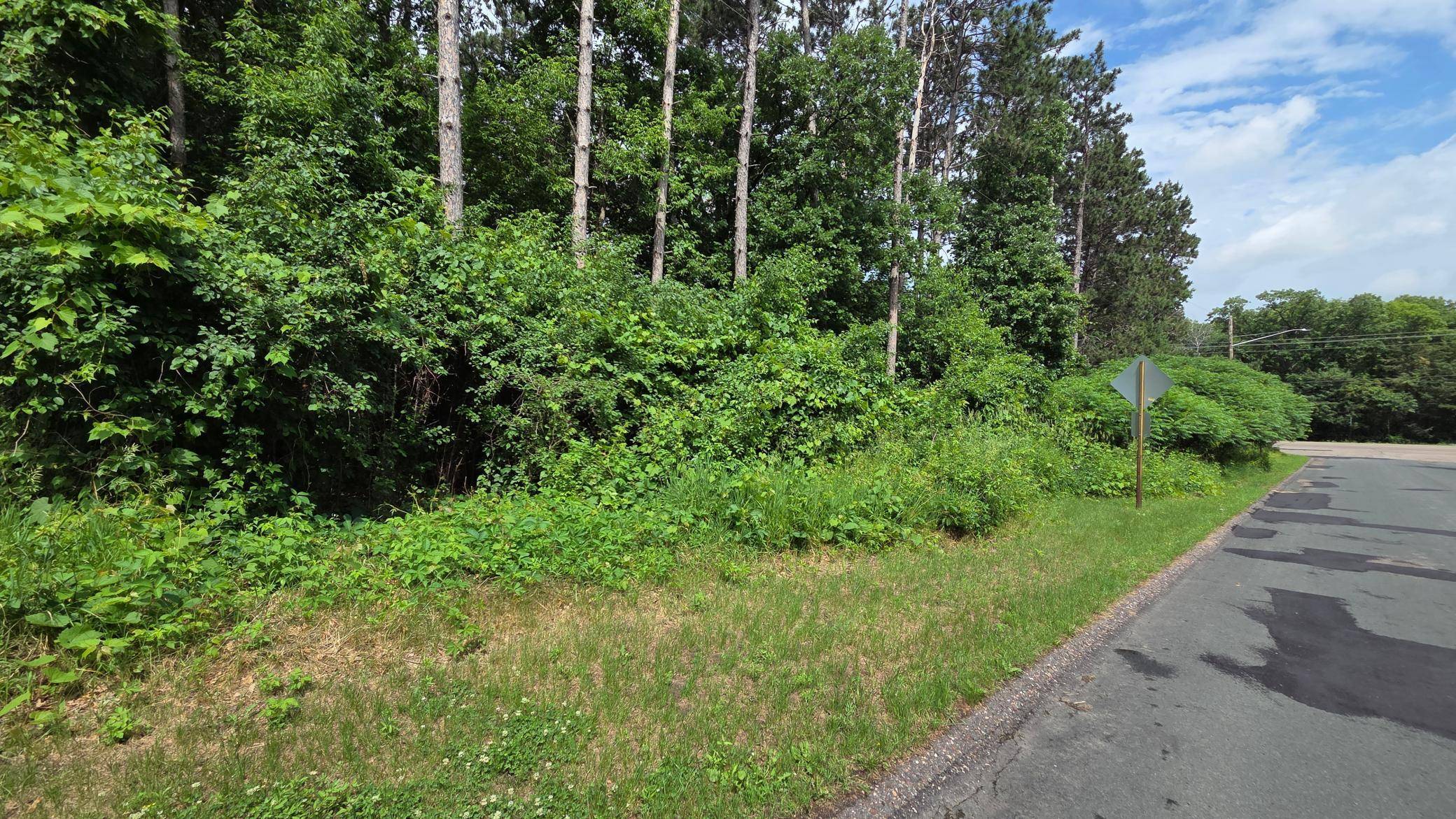 TBD Uplander ST NW, Andover, MN 55304