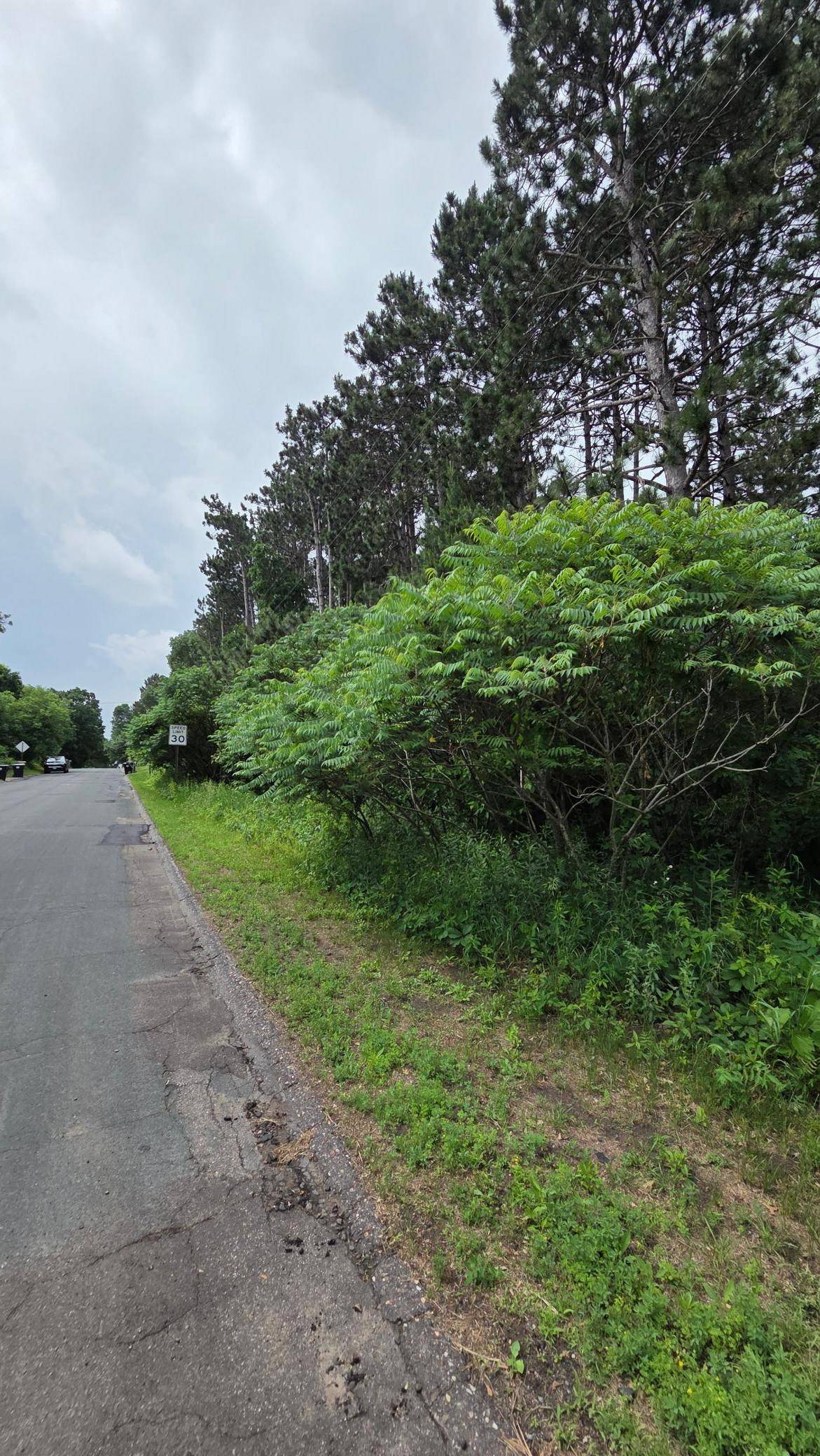 TBD Uplander ST NW, Andover, MN 55304