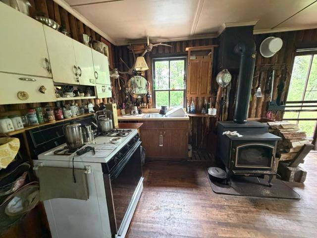 9064 Peppard RD, Britt, MN 55710