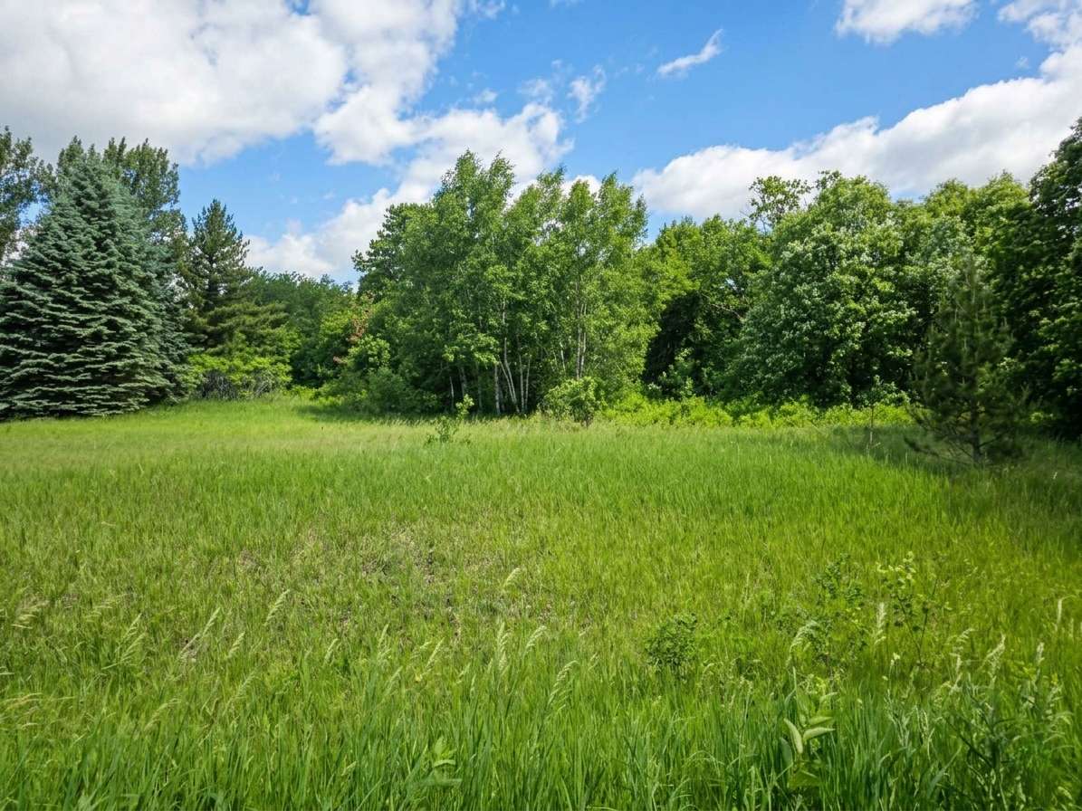 28854 Peppin DR, Browerville, MN 56438