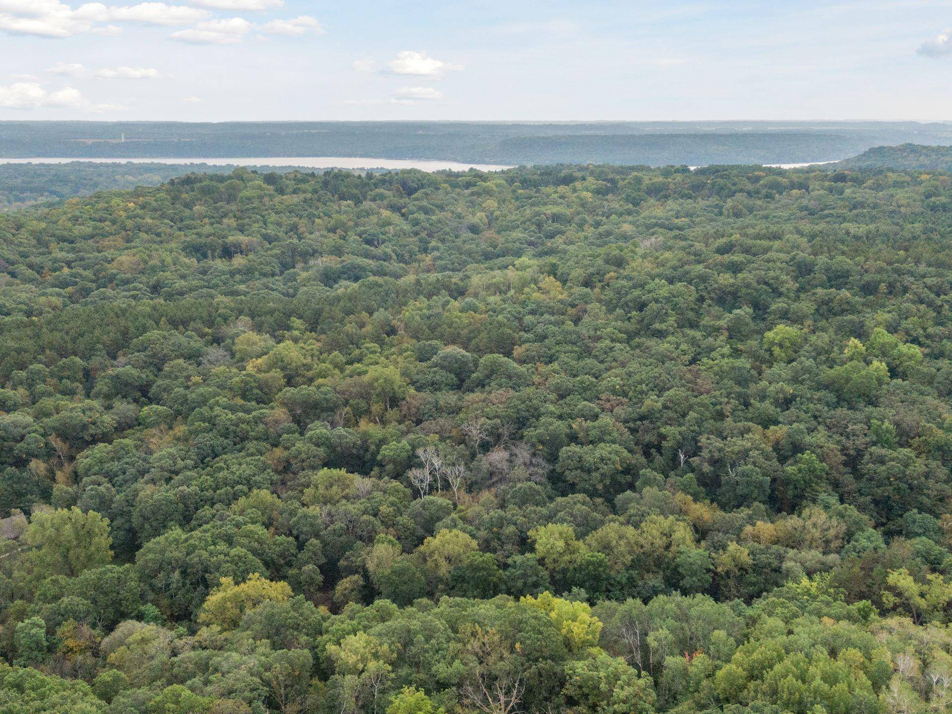 2555 Trading Post TRL S, Afton, MN 55001