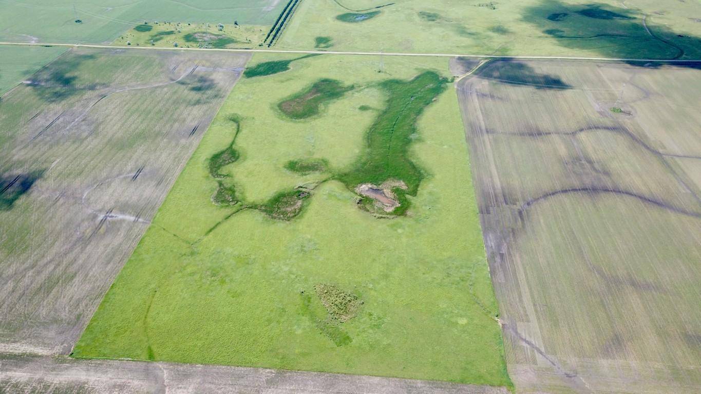 XXXX 200th ST, Elbow Lake, MN 56531