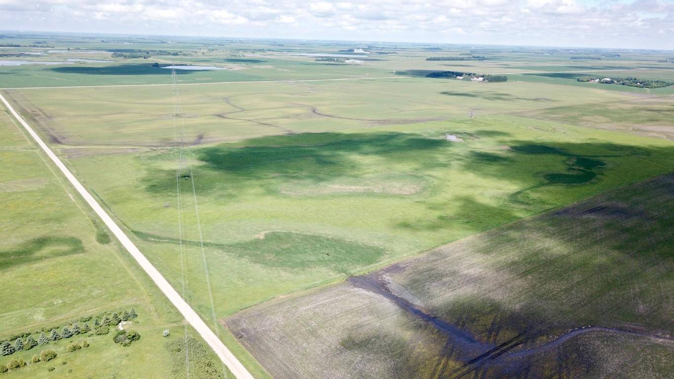 XXXX 200th ST, Elbow Lake, MN 56531