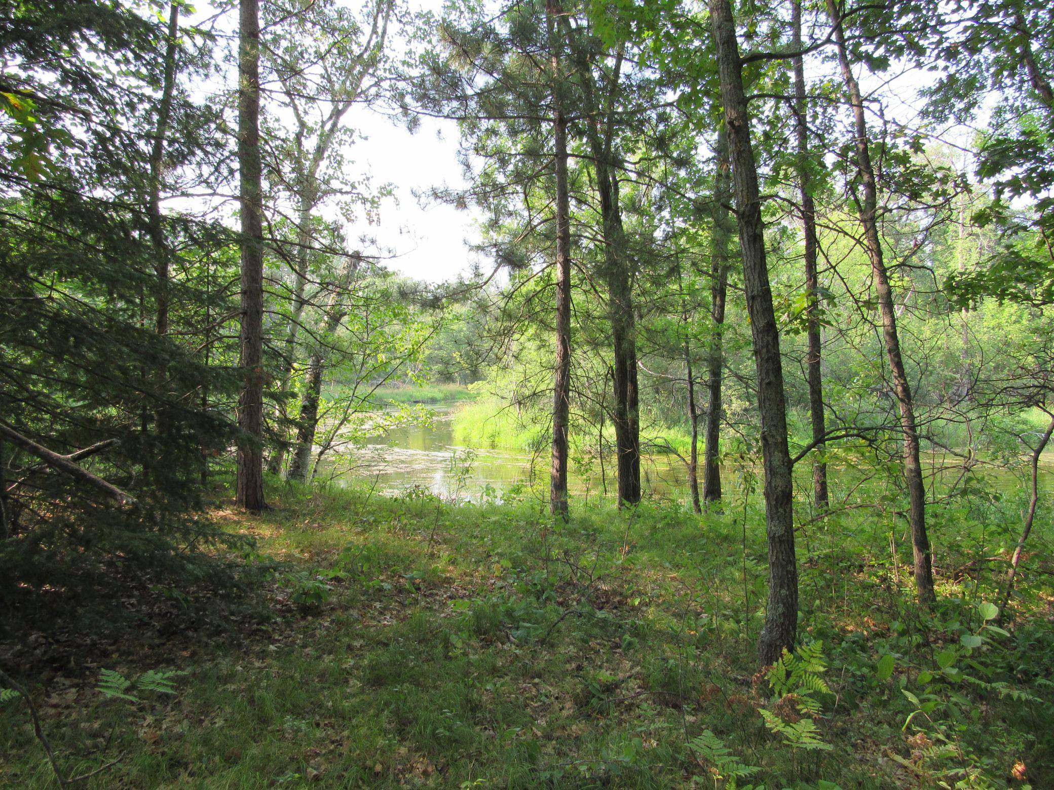 LOTS 5-11 TBD FRONT STREET FRONT STREET, Pine River, MN 56474