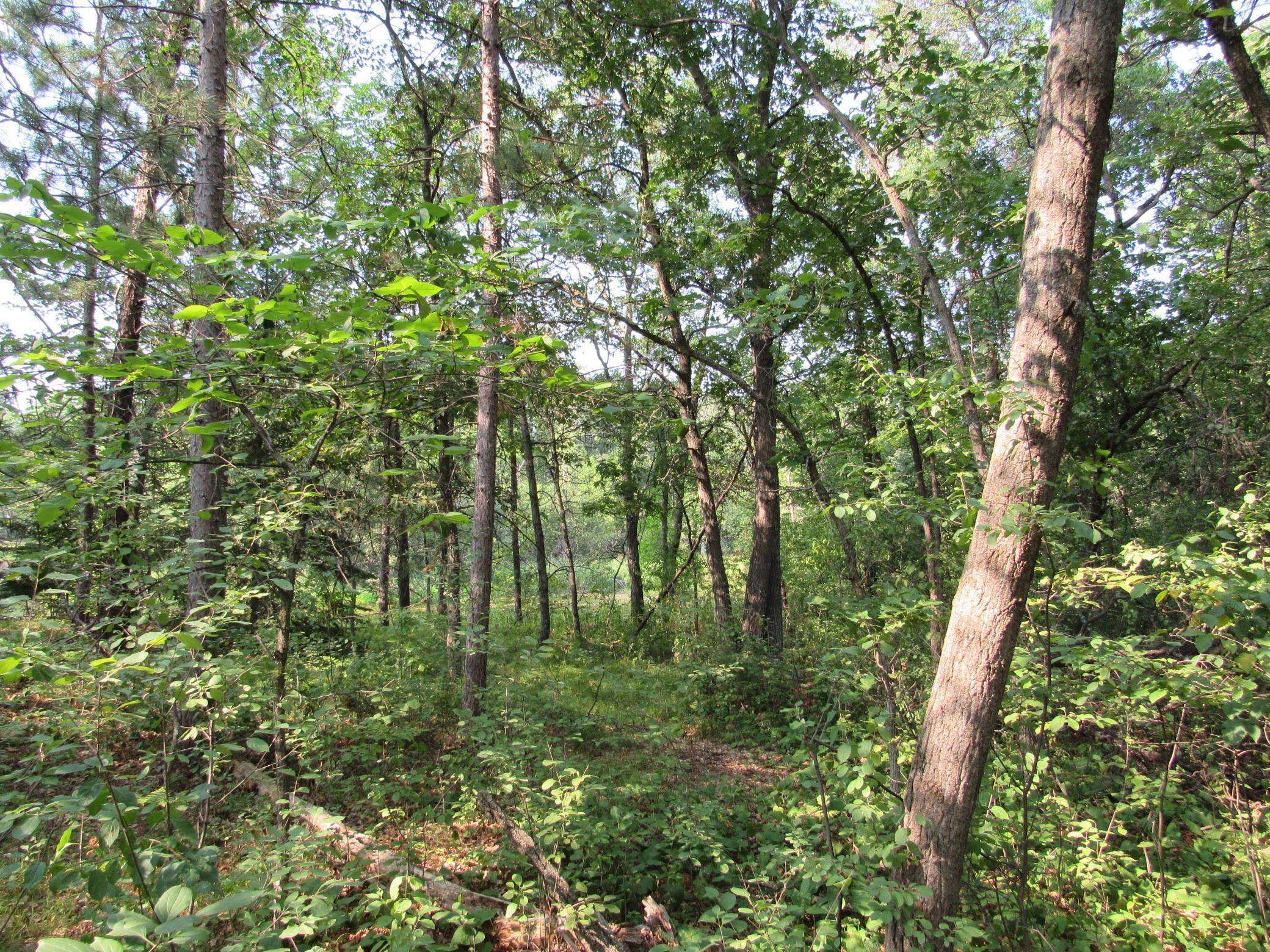LOTS 5-11 TBD FRONT STREET FRONT STREET, Pine River, MN 56474