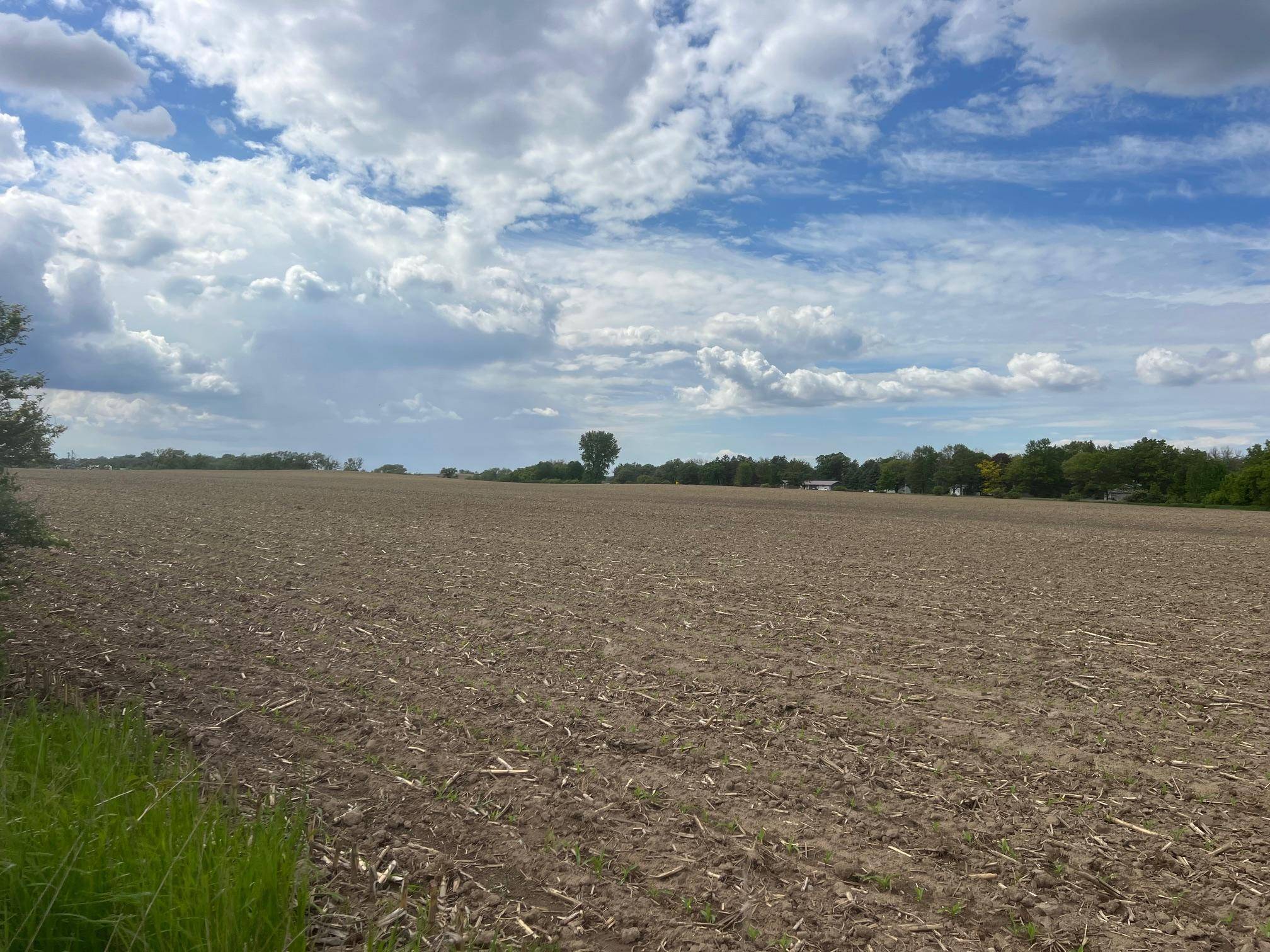 TBD Highway 56, Le Roy, MN 55951