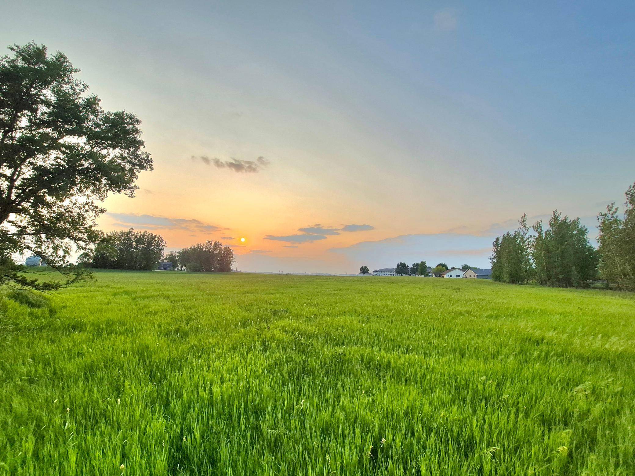 XXX Frenzel DR, Arlington, MN 55307