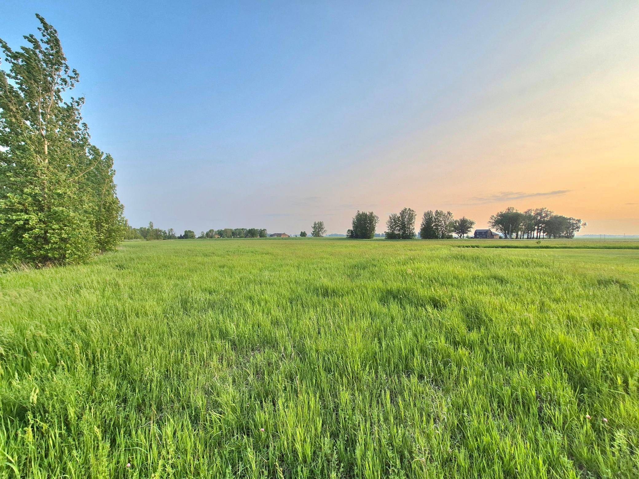XXX Frenzel DR, Arlington, MN 55307