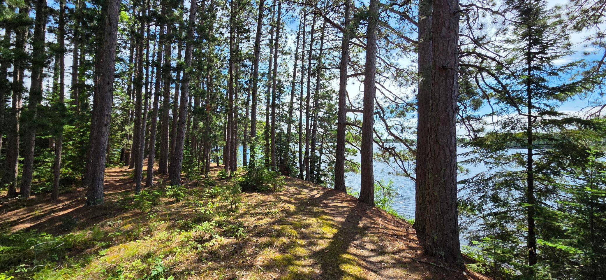 51946 N Wasson Lake Rd, Bigfork, MN 56628