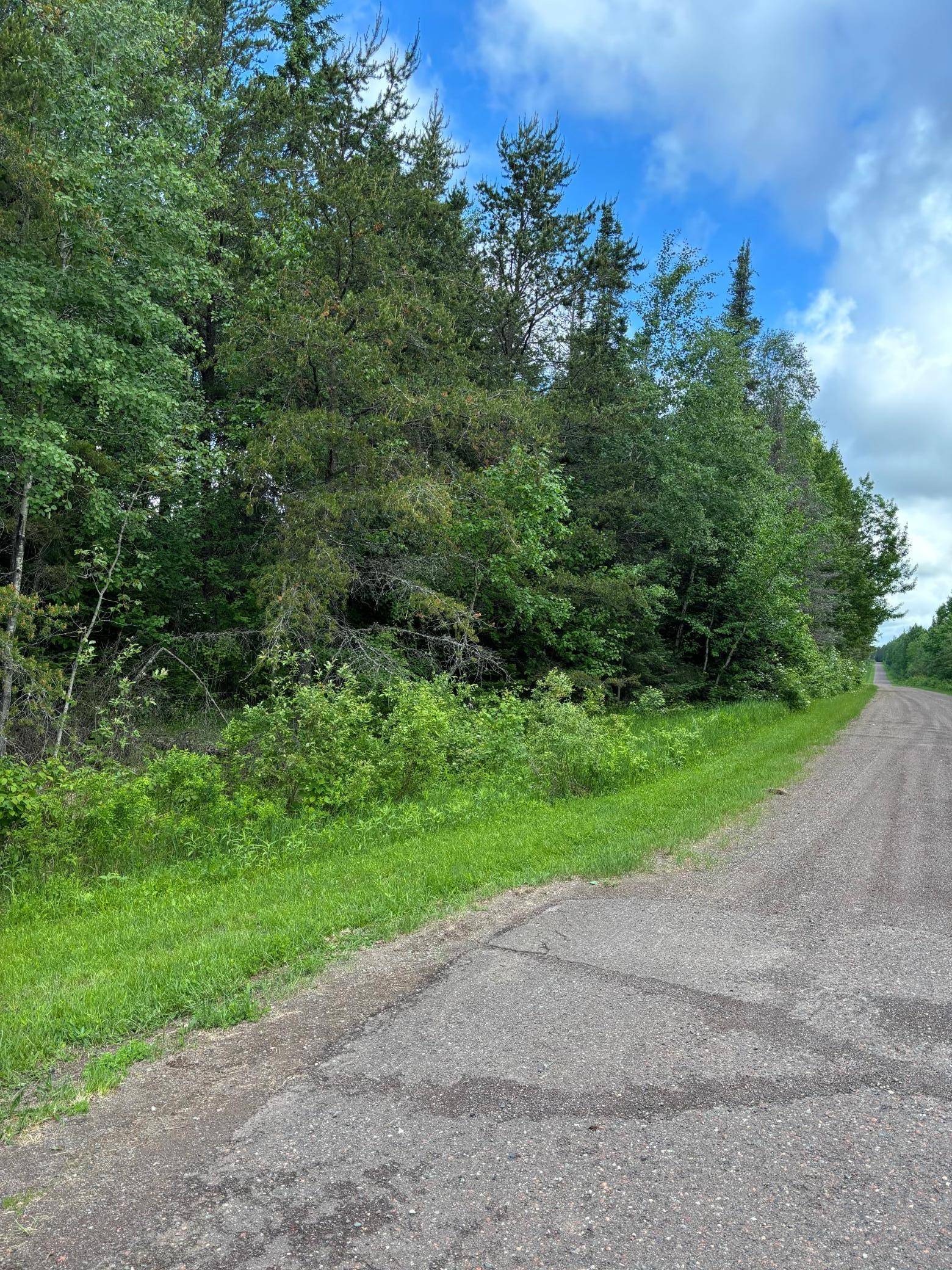 XXX Town Line RD, Bassett Twp, MN 55602