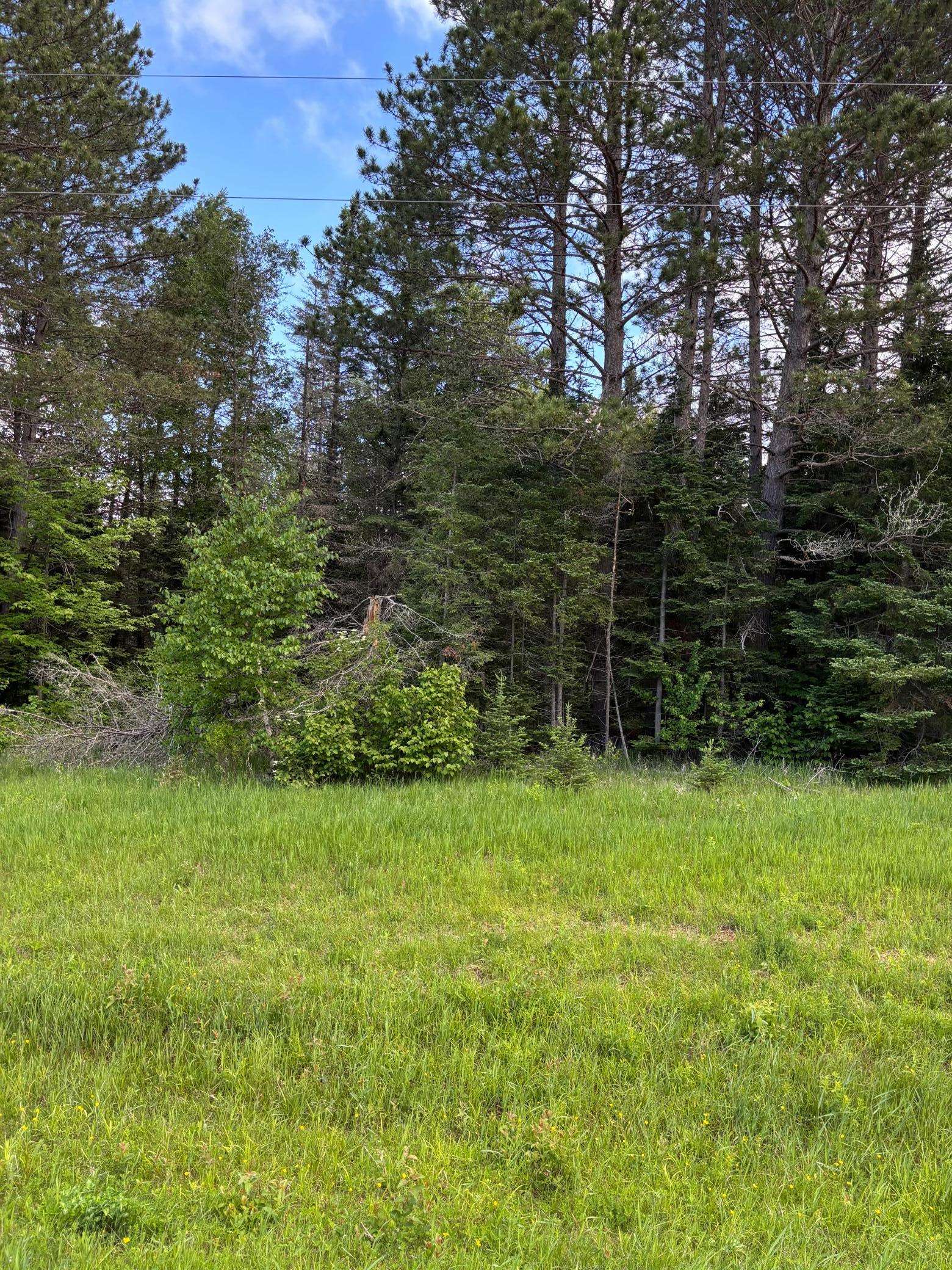 XXX Town Line RD, Bassett Twp, MN 55602