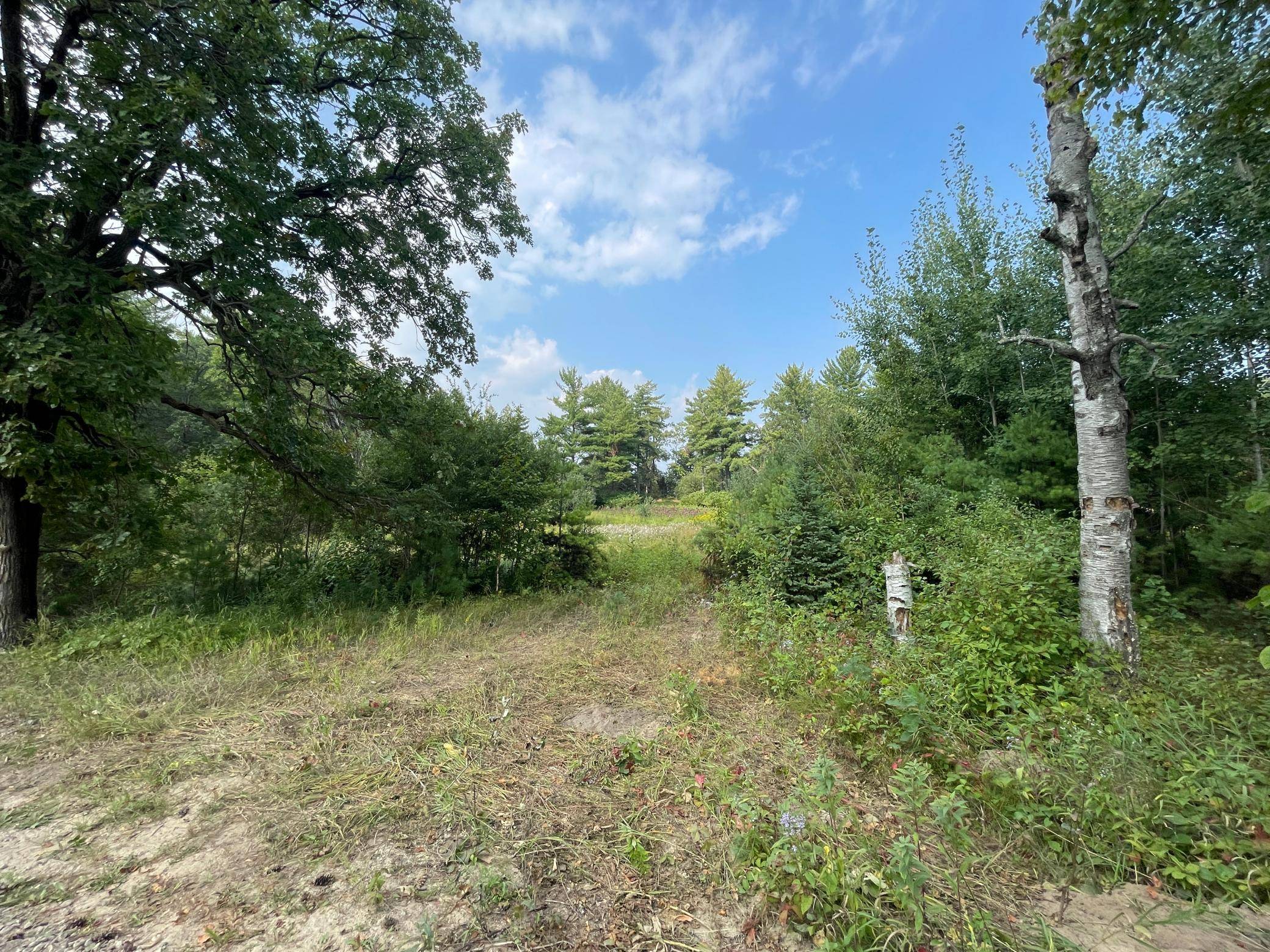 TBD Camp Fish RD NW, Akeley, MN 56484